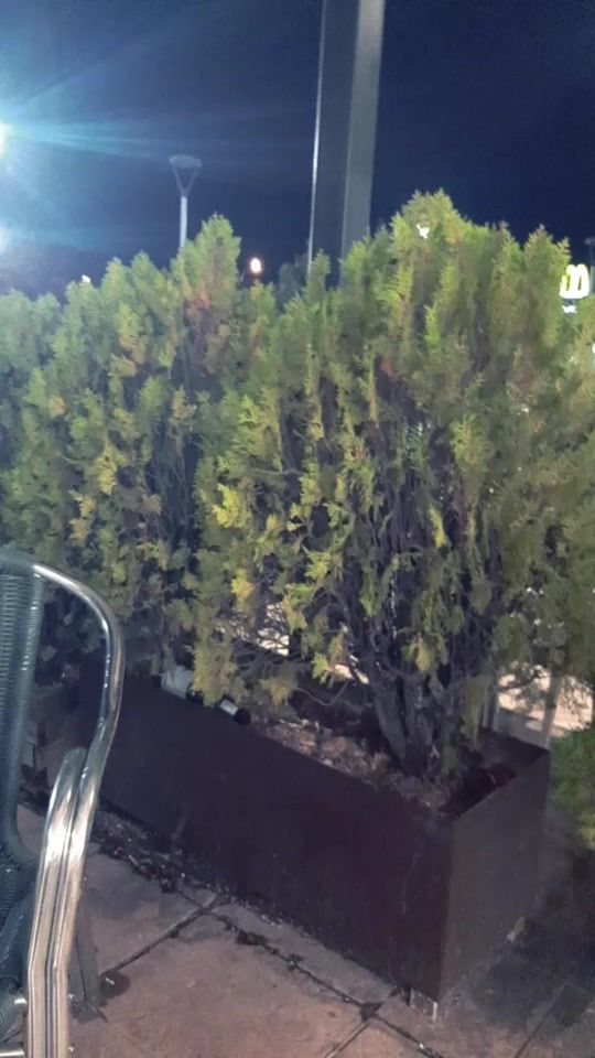 TikTok video thumbnail by ayoubimran03
