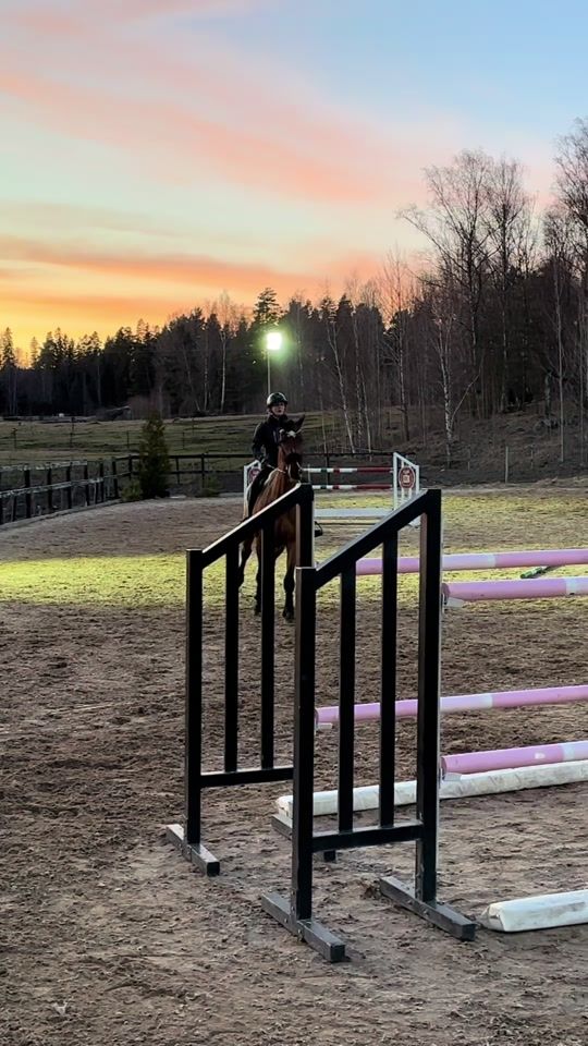 TikTok video thumbnail by stellaselstrom