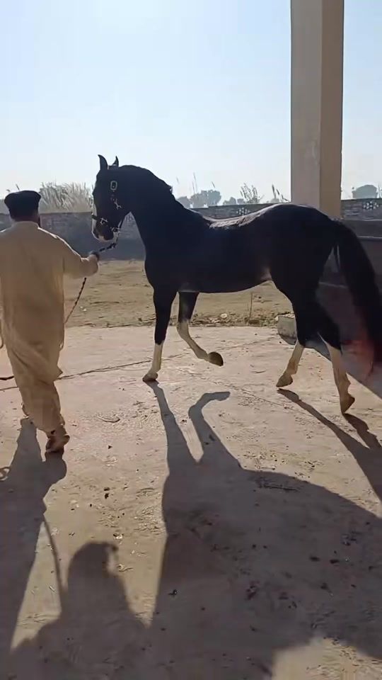 TikTok video thumbnail by monafaklog093