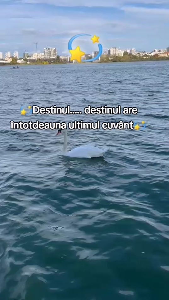 TikTok video thumbnail by danielacotobas