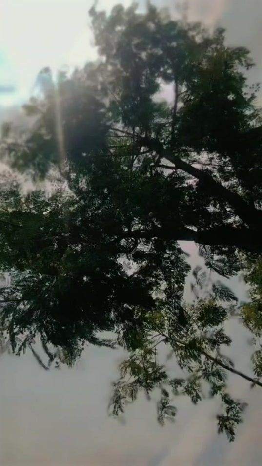 TikTok video thumbnail by drj.joyia.sab_