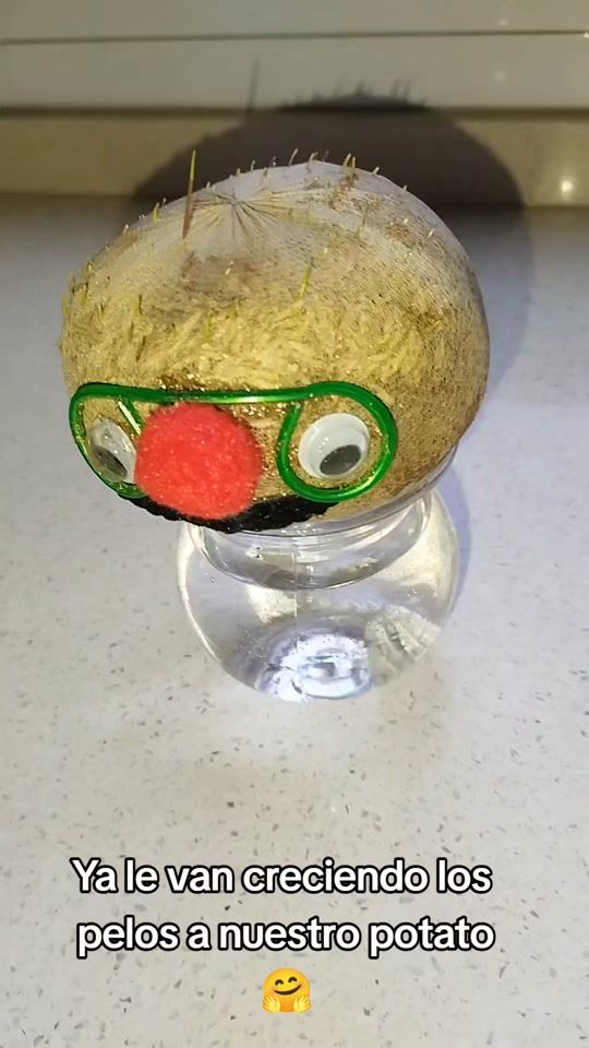 TikTok video thumbnail by elrinconcitodeleyre