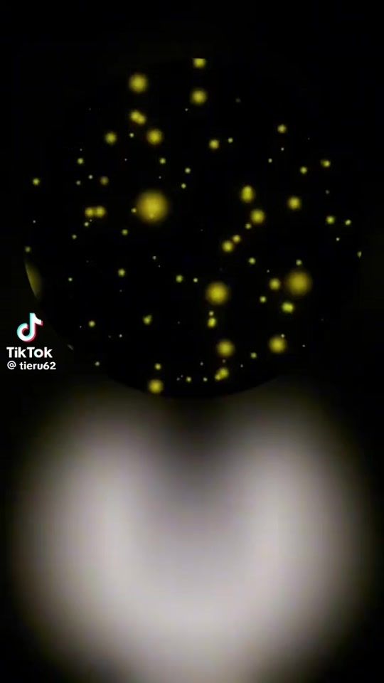 TikTok video thumbnail by denissjerwovs