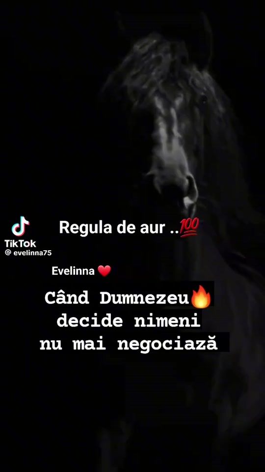 TikTok video thumbnail by ovidiuvasile50