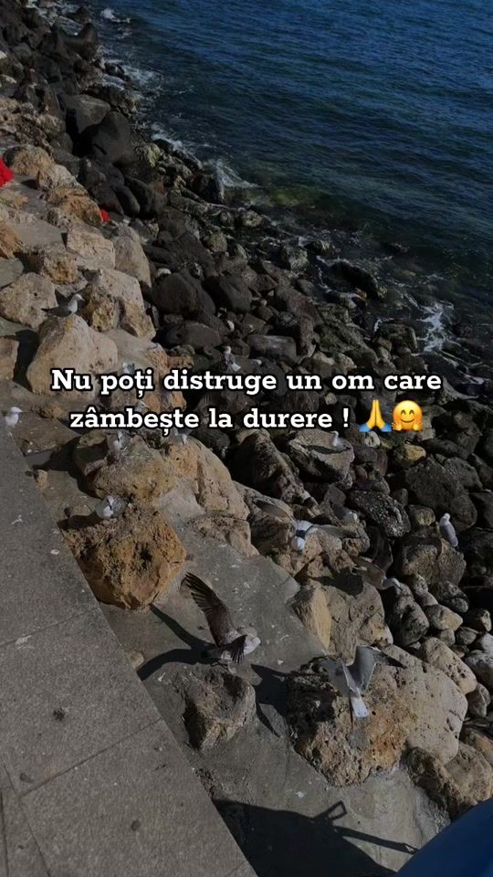TikTok video thumbnail by andreeamihaelaa1
