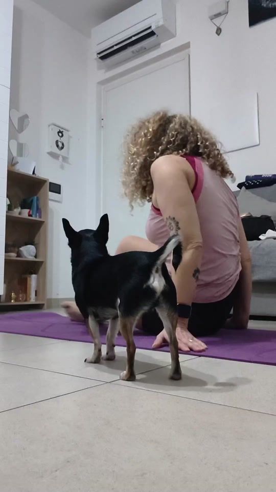 TikTok video thumbnail by francy8295