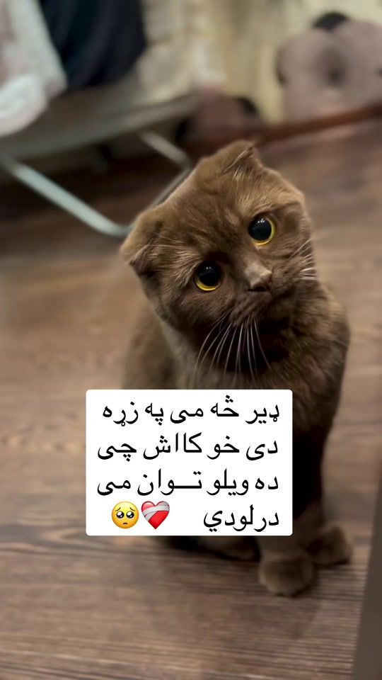 TikTok video thumbnail by _0fflinex