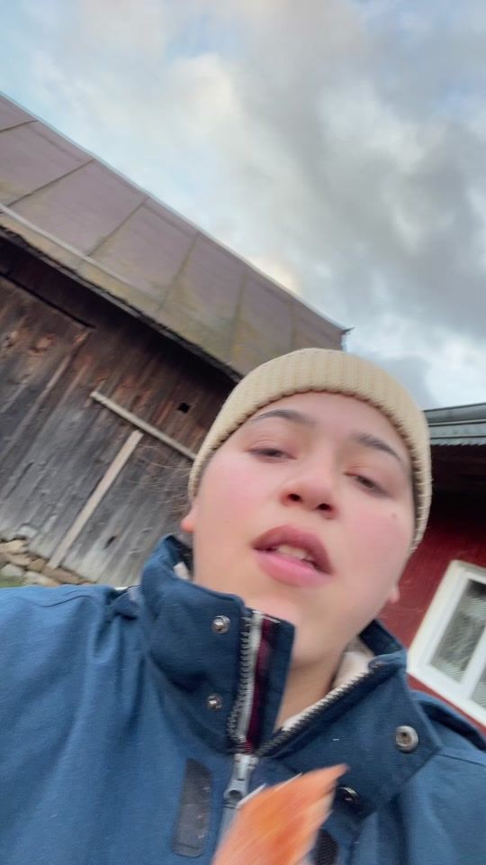 TikTok video thumbnail by user.raluca