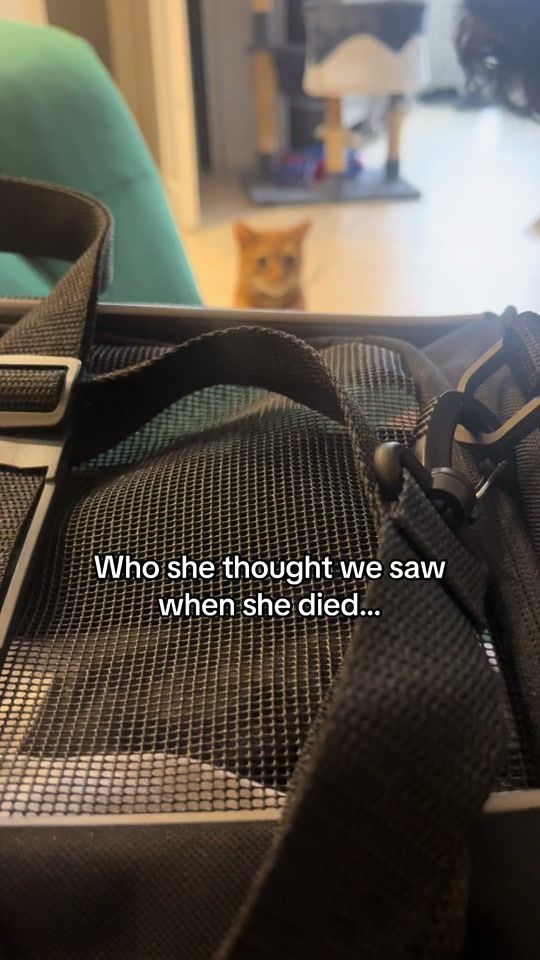 TikTok video thumbnail by bellaalongsidesimba