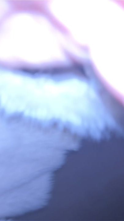 TikTok video thumbnail by giorgia.bonato_