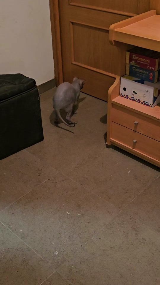 TikTok video thumbnail by yolanda6667