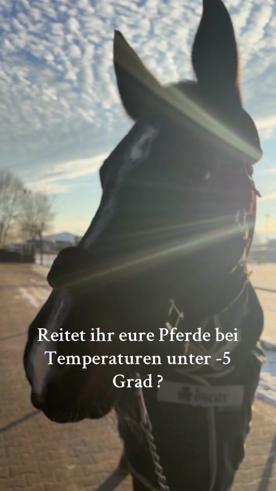 TikTok video thumbnail by zofeey