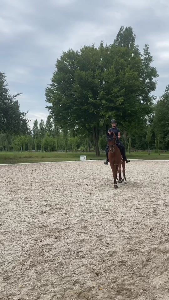 TikTok video thumbnail by hannah_rufer