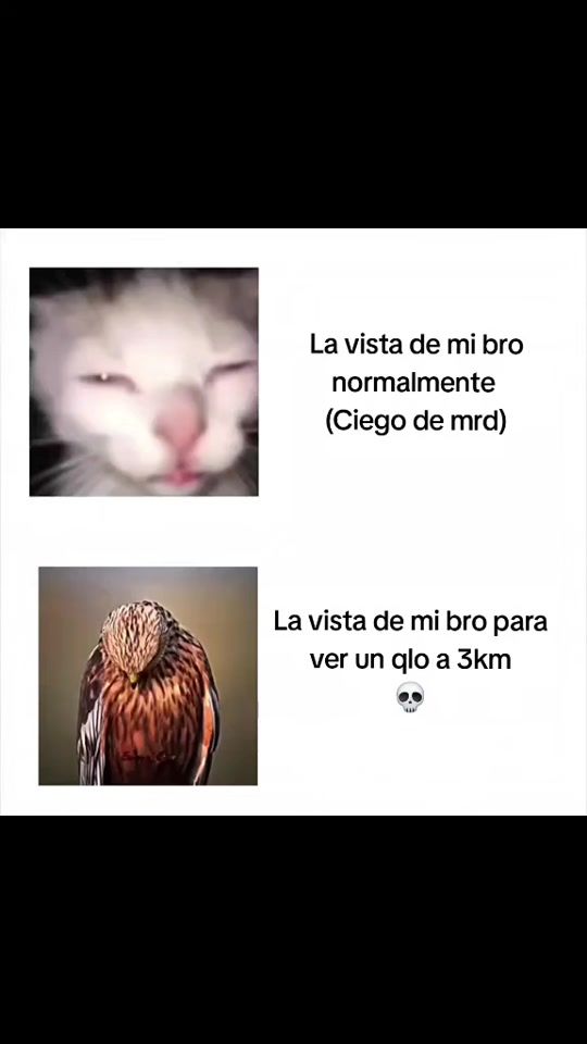 TikTok video thumbnail by soullesito