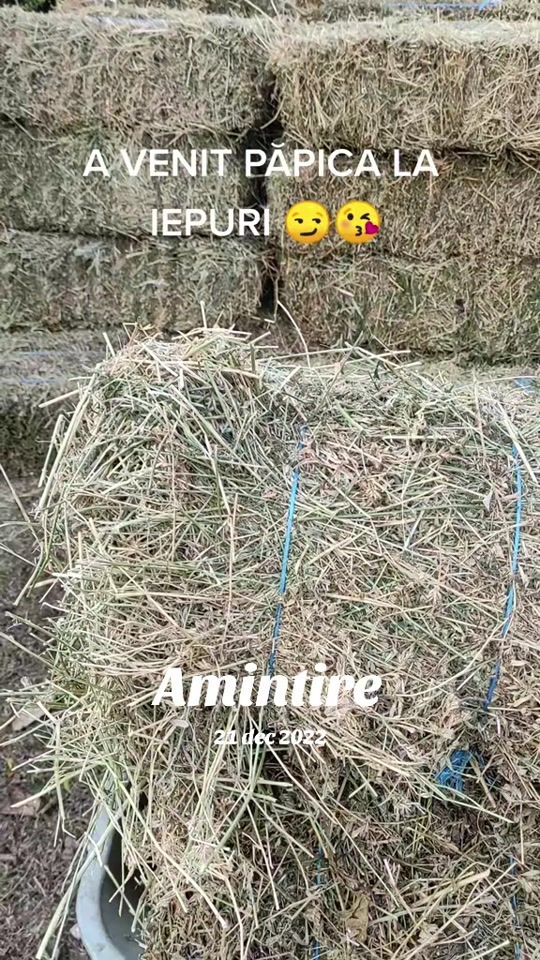 TikTok video thumbnail by iepuricornel