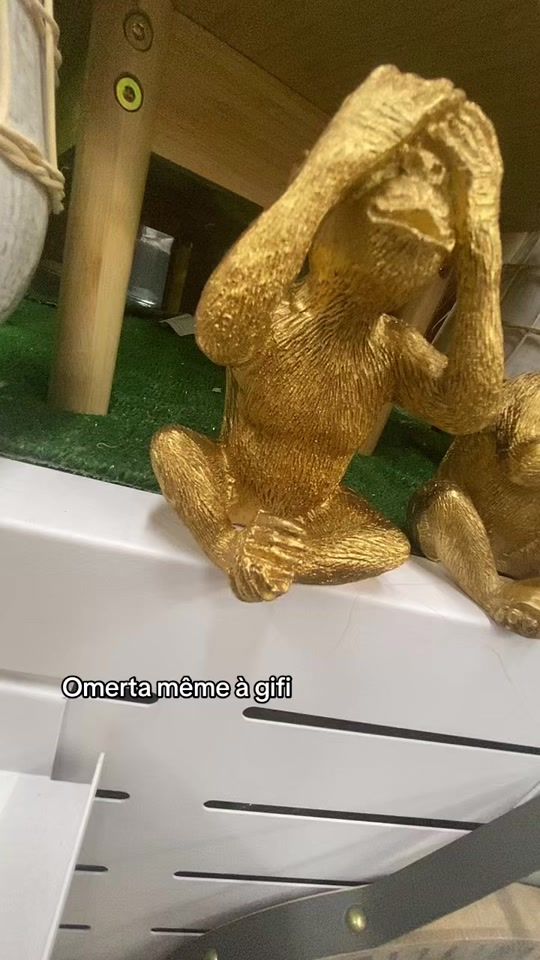 TikTok video thumbnail by cleptomane_13