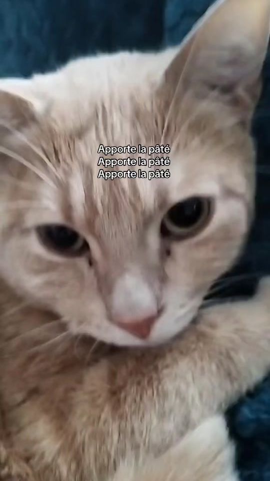 TikTok video thumbnail by userrjadeee01