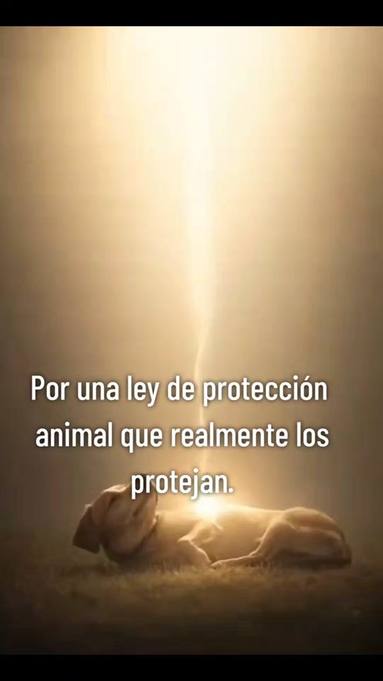 TikTok video thumbnail by esperanza.macarena.lopez