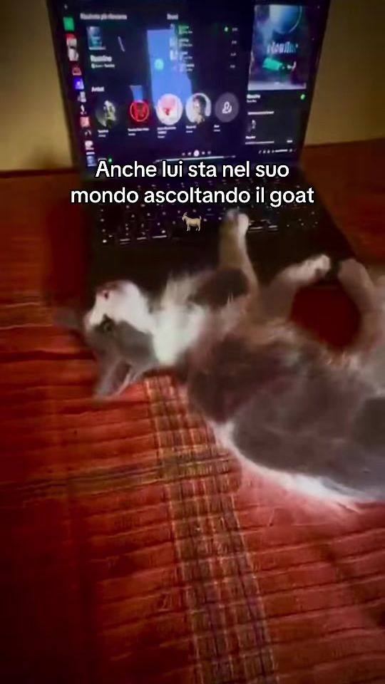 TikTok video thumbnail by francescoo.russo