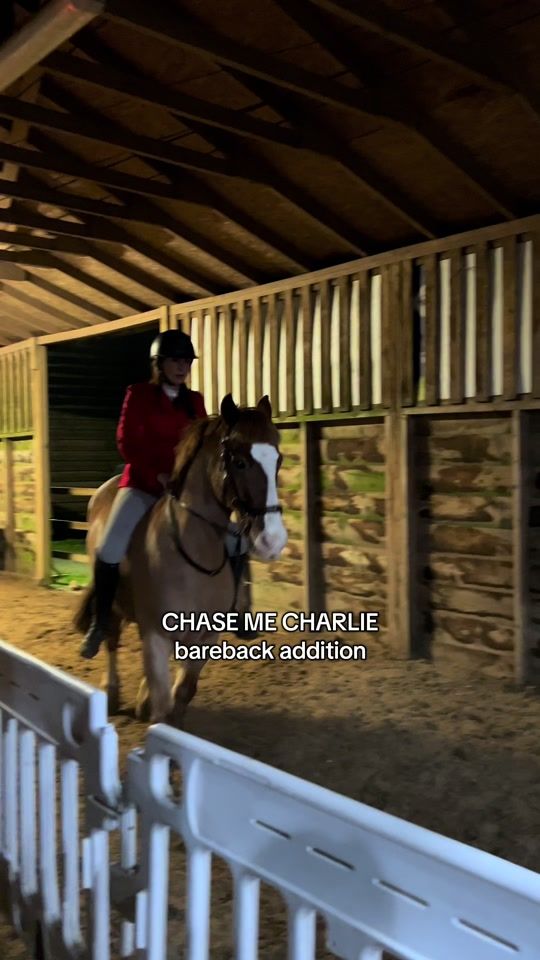 TikTok video thumbnail by libbypartridge.equine