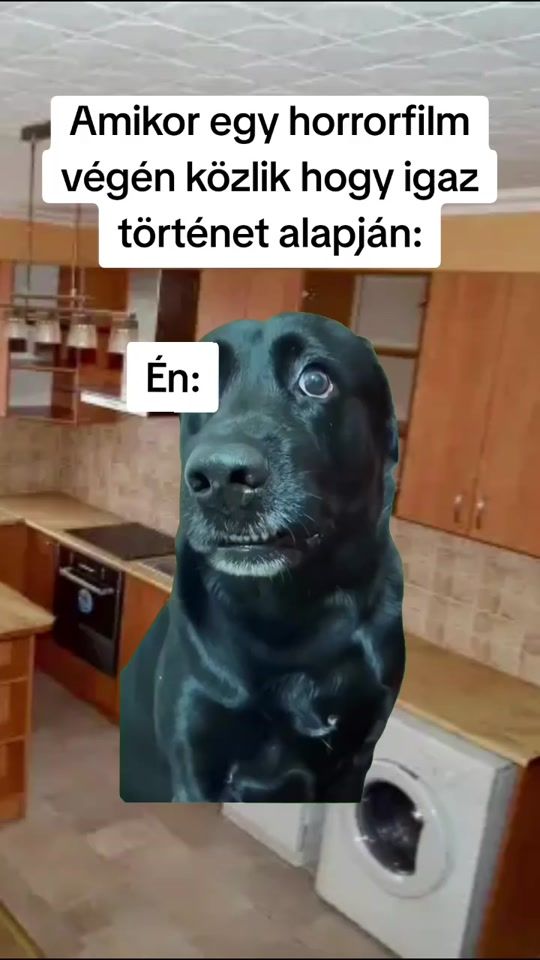 TikTok video thumbnail by adriantiktok123