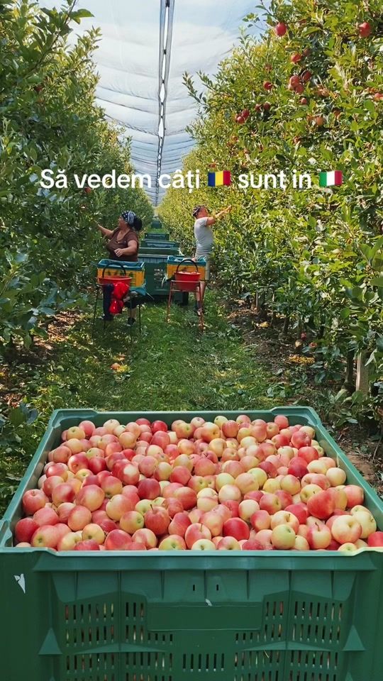 TikTok video thumbnail by marianstrugariu4