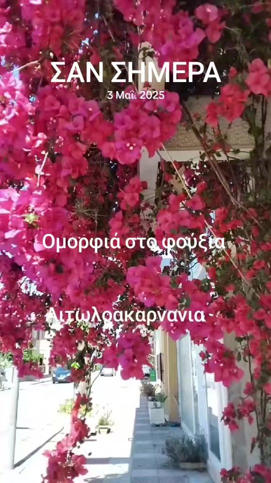 TikTok video thumbnail by giota579