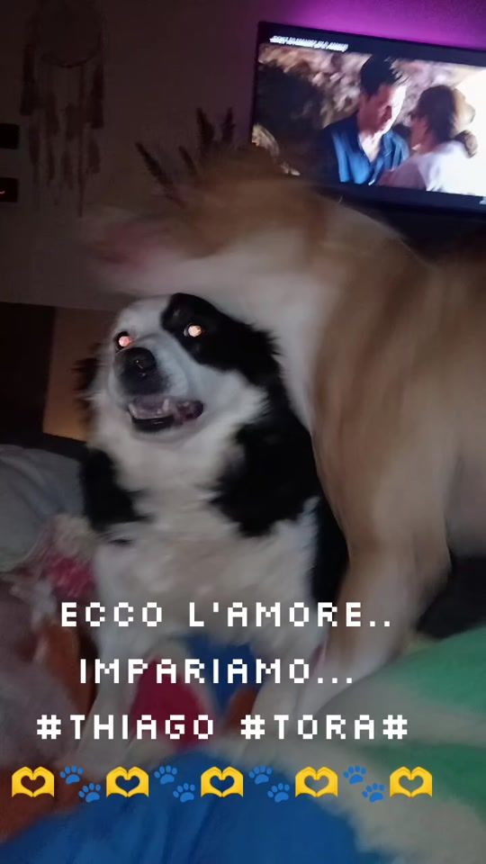 TikTok video thumbnail by giadazucol