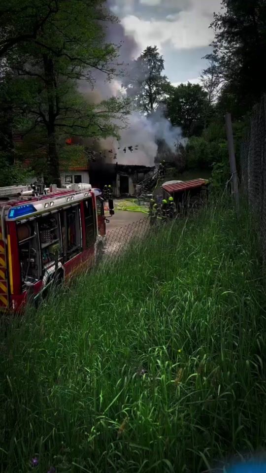 TikTok video thumbnail by marius.freimuth