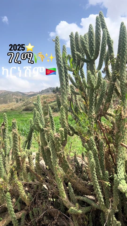 TikTok video thumbnail by y2san._