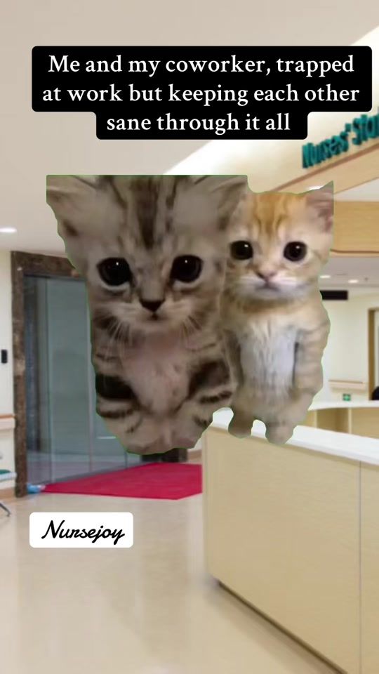 TikTok video thumbnail by nursejoy__24