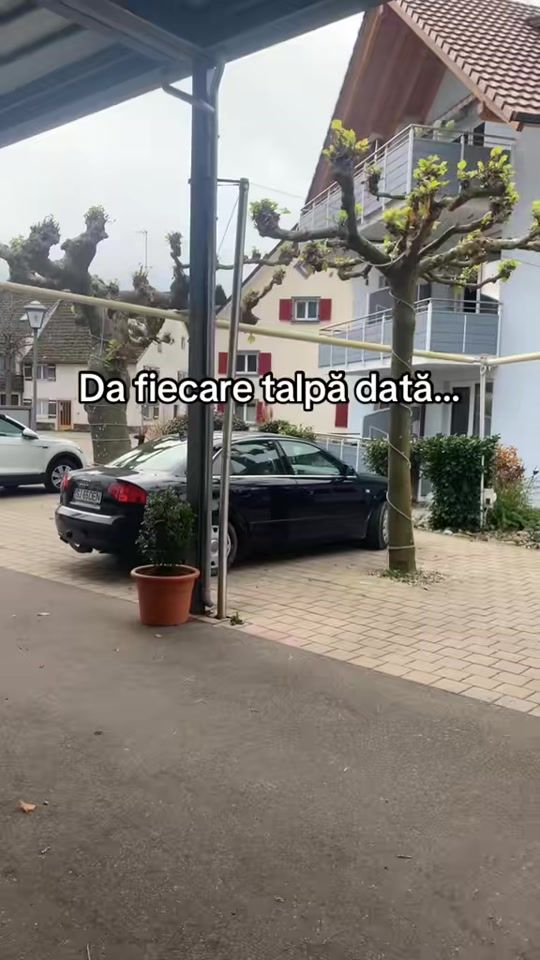 TikTok video thumbnail by denis_21d