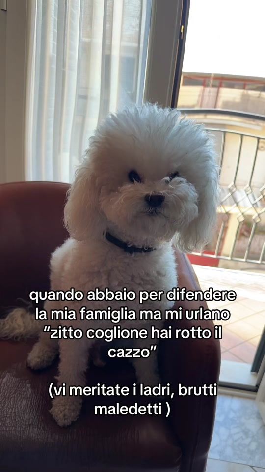 TikTok video thumbnail by teresacicotti