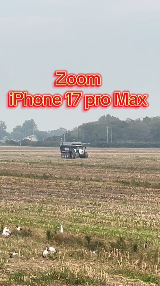 TikTok video thumbnail by bellucofarm