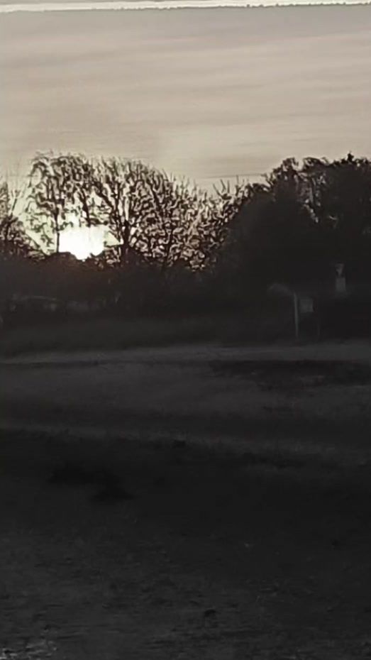TikTok video thumbnail by phoenixonsky
