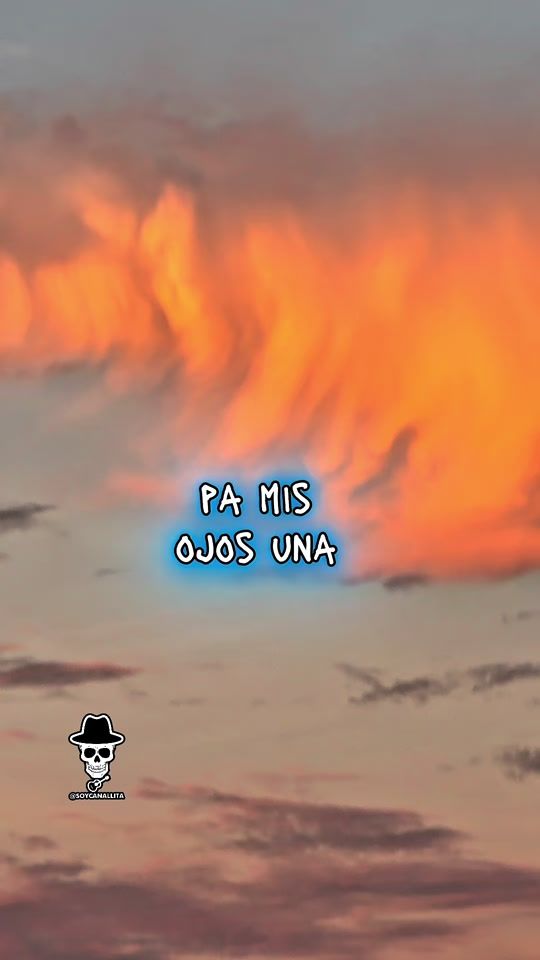 TikTok video thumbnail by soycanallita