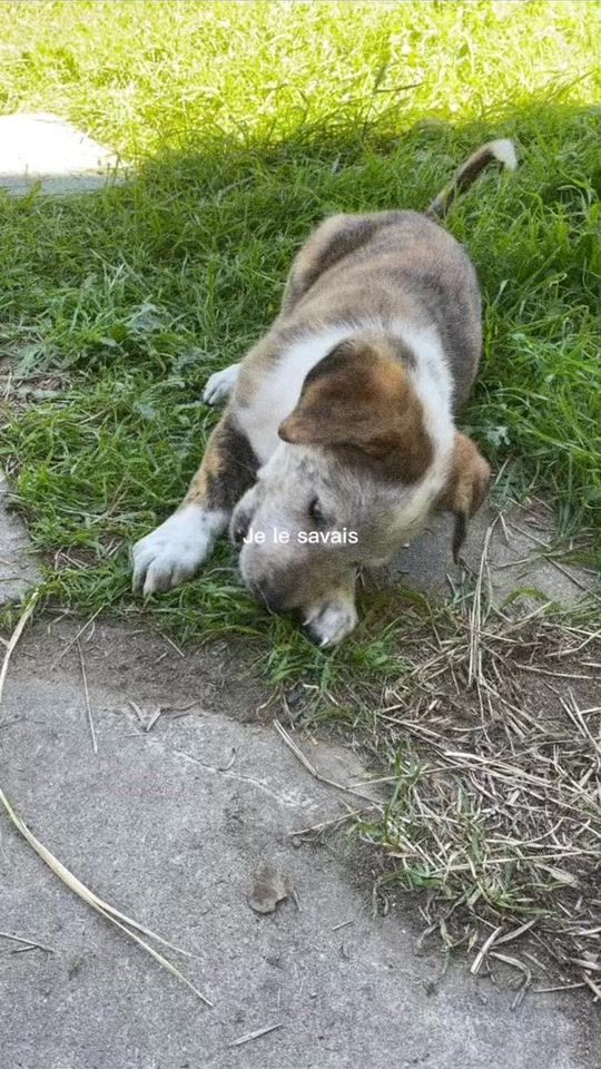 TikTok video thumbnail by esperance.444