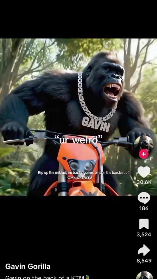 TikTok video thumbnail by rileyjay.patterso