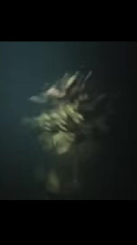 TikTok video thumbnail by elsekkkoo
