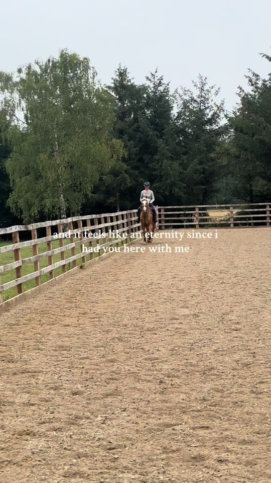 TikTok video thumbnail by amelia_equ