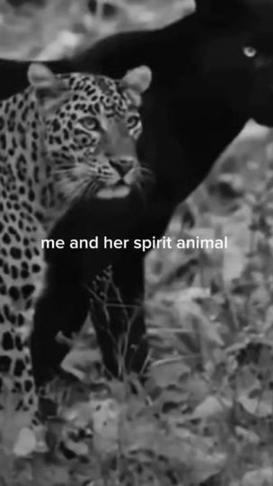 TikTok video thumbnail by angllveil