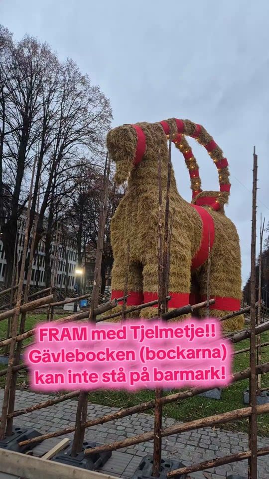 TikTok video thumbnail by musikkatalogen