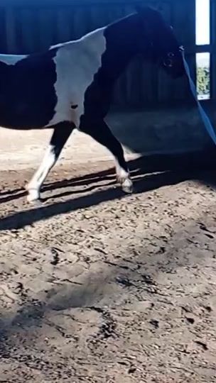 TikTok video thumbnail by mandywagner4