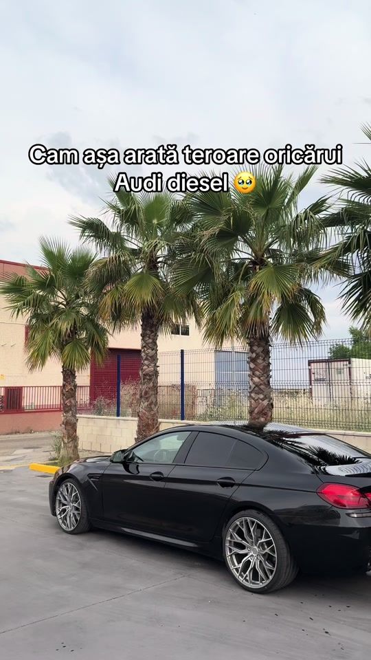 TikTok video thumbnail by gherasim_535d