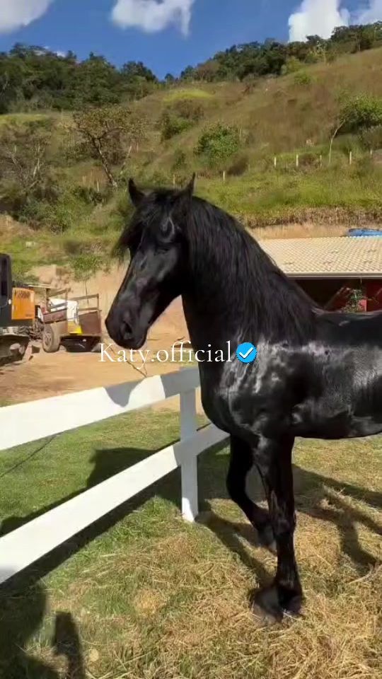 TikTok video thumbnail by katy.official01
