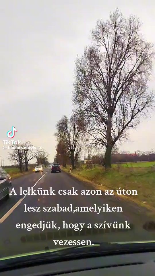 TikTok video thumbnail by zsolly95