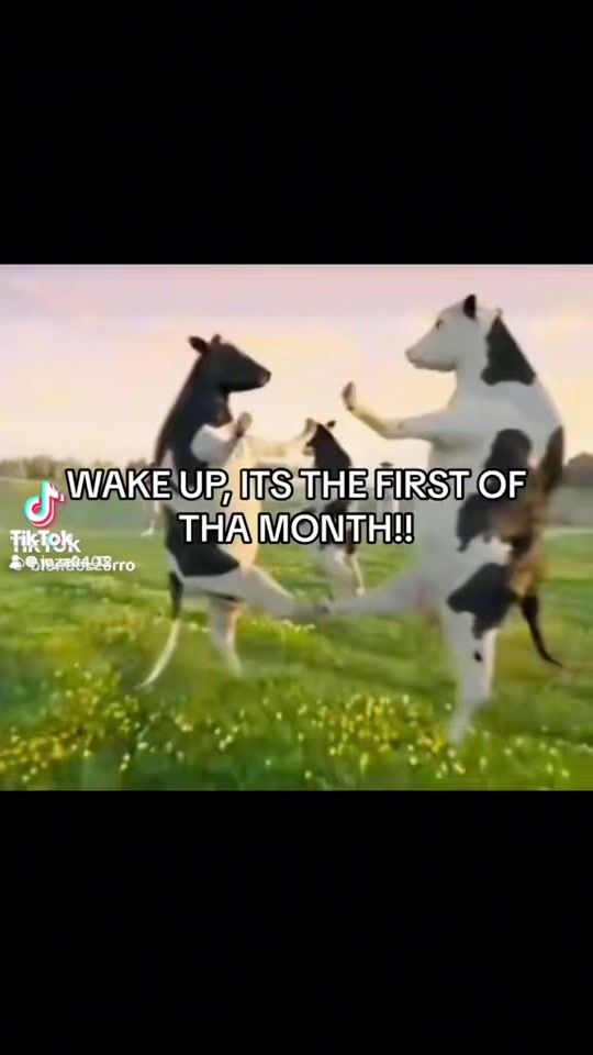 TikTok video thumbnail by joza0403