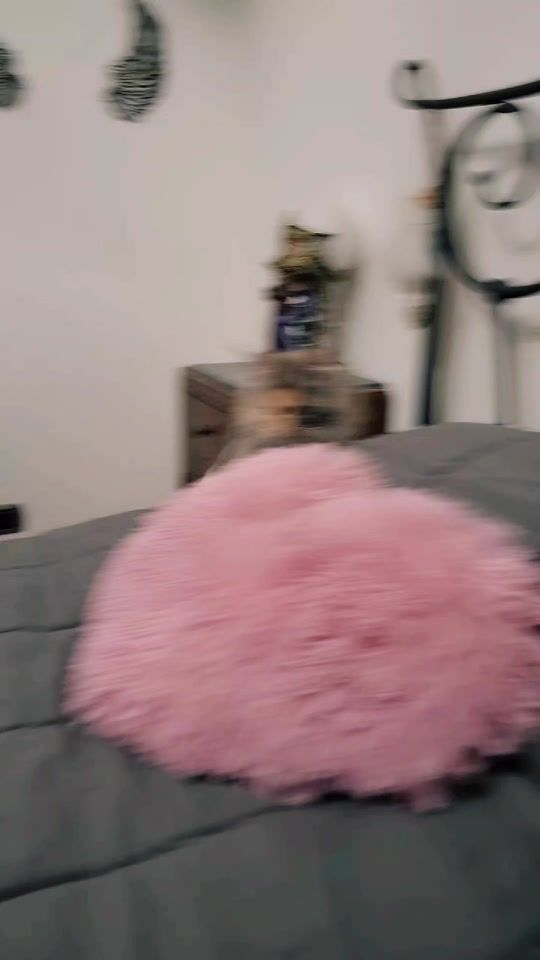 TikTok video thumbnail by luisasannito5