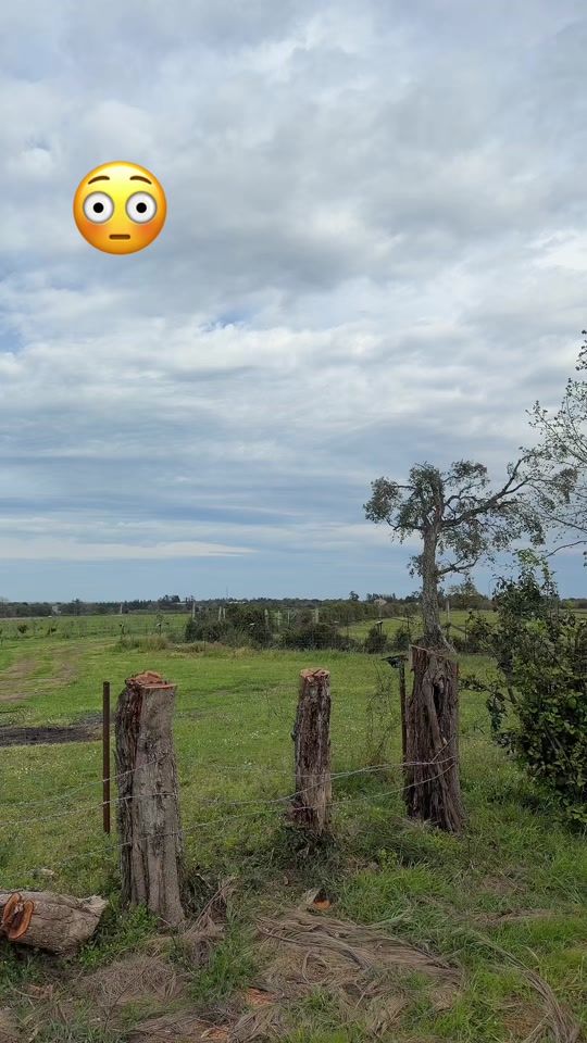 TikTok video thumbnail by z9002b