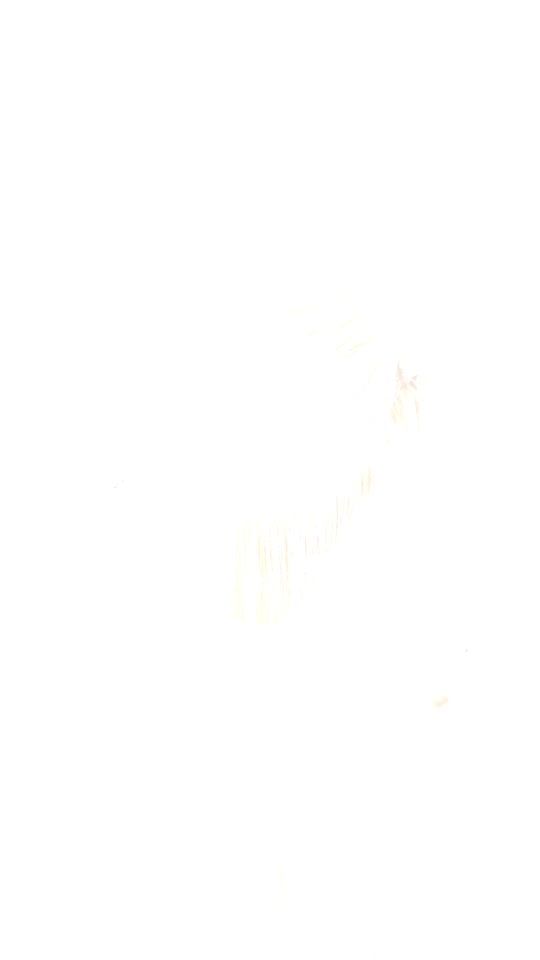 TikTok video thumbnail by tanaras_extensions